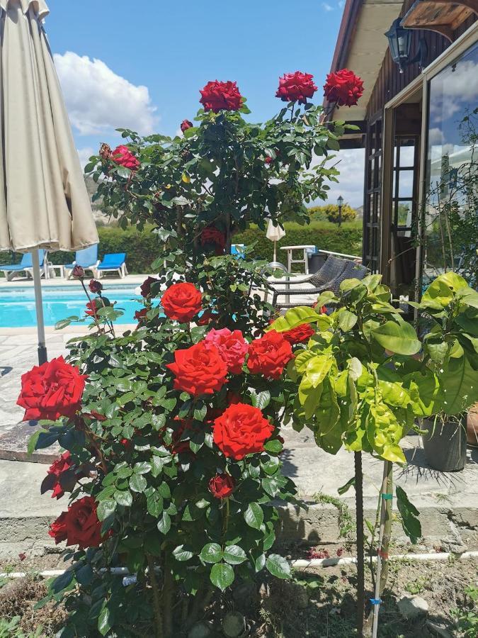 Ampelokipi Holiday Apartments Piszúri Kültér fotó