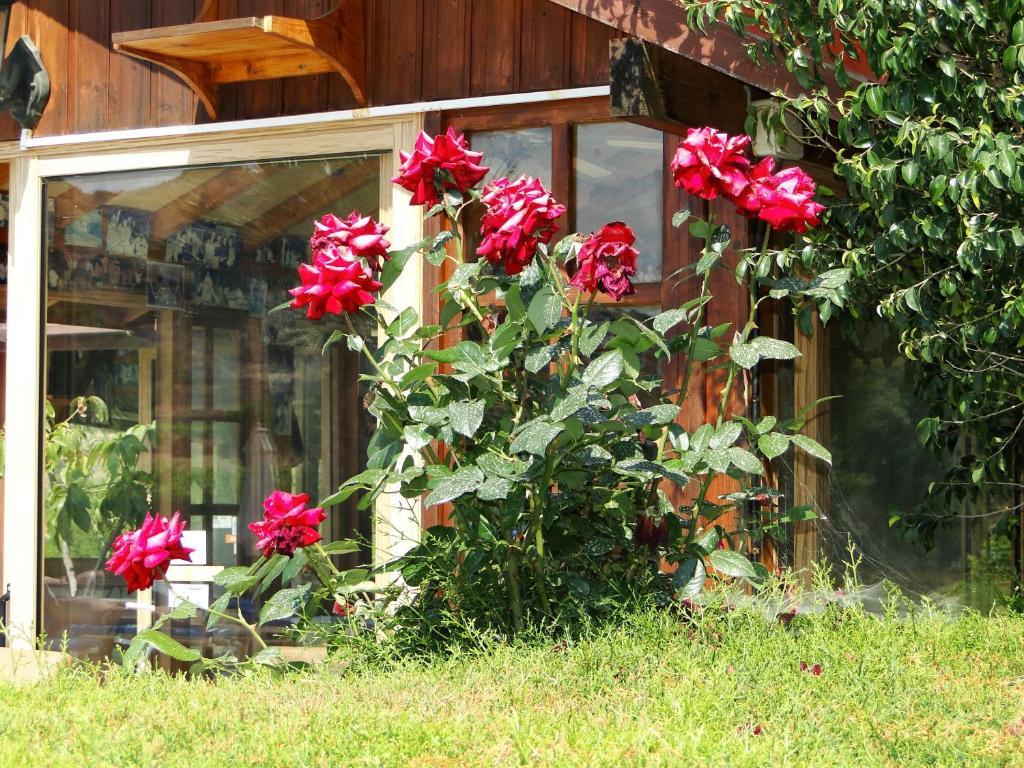 Ampelokipi Holiday Apartments Piszúri Kültér fotó